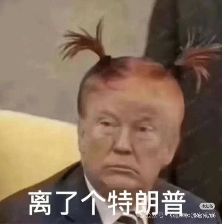 WLFI 不是什么特朗普严选,就是收广告费的 image 0