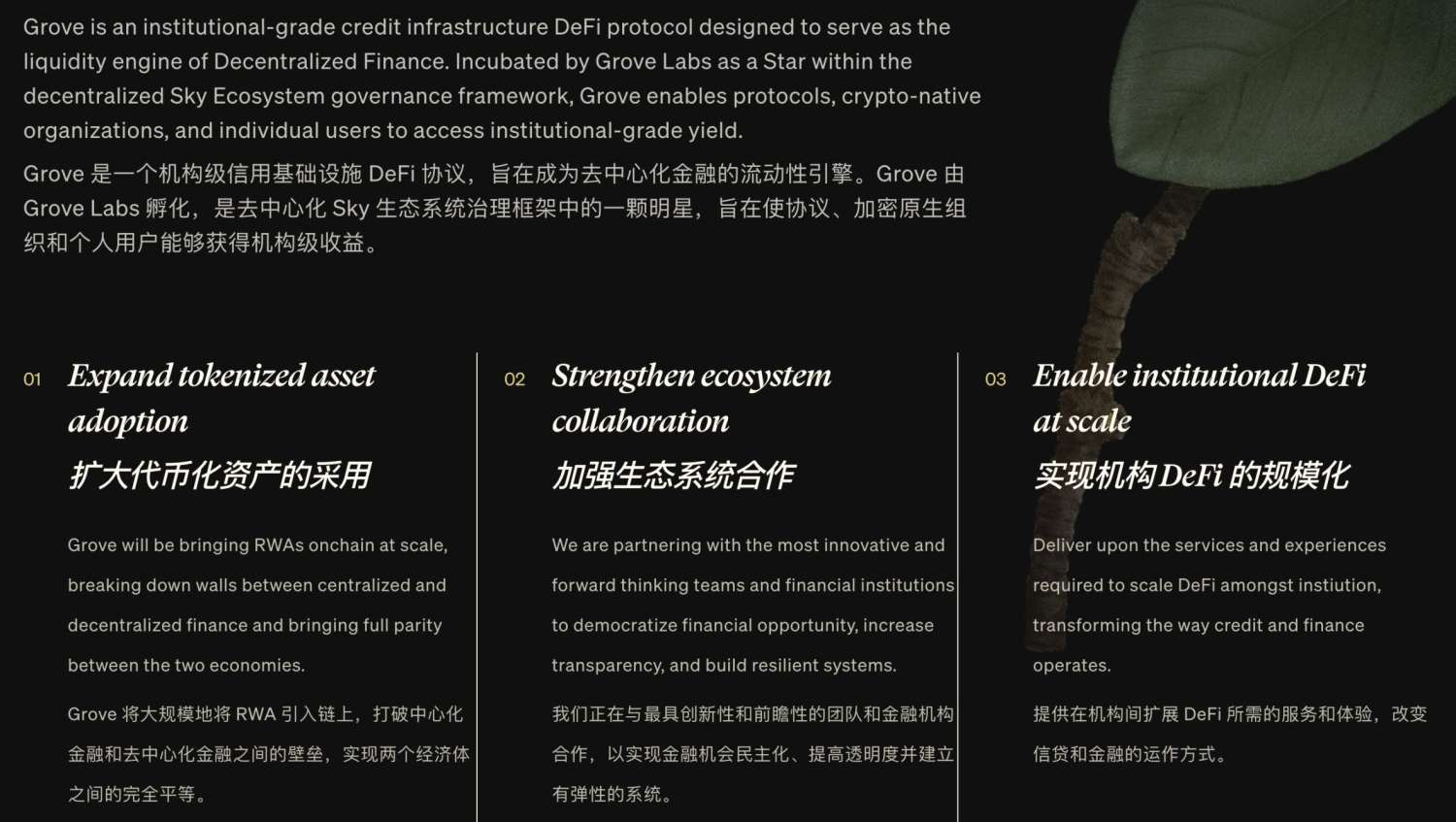 继 Spark 后,Sky 押注 Grove,RWA 新贵登场? image 3
