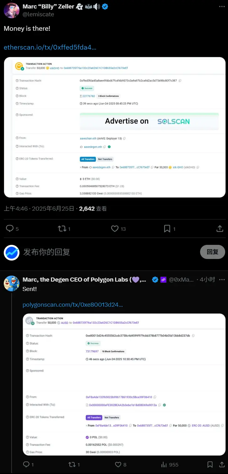 Polygon CEO与AAVE守护者的赌局:Polygon 双币设计是福是祸? image 0