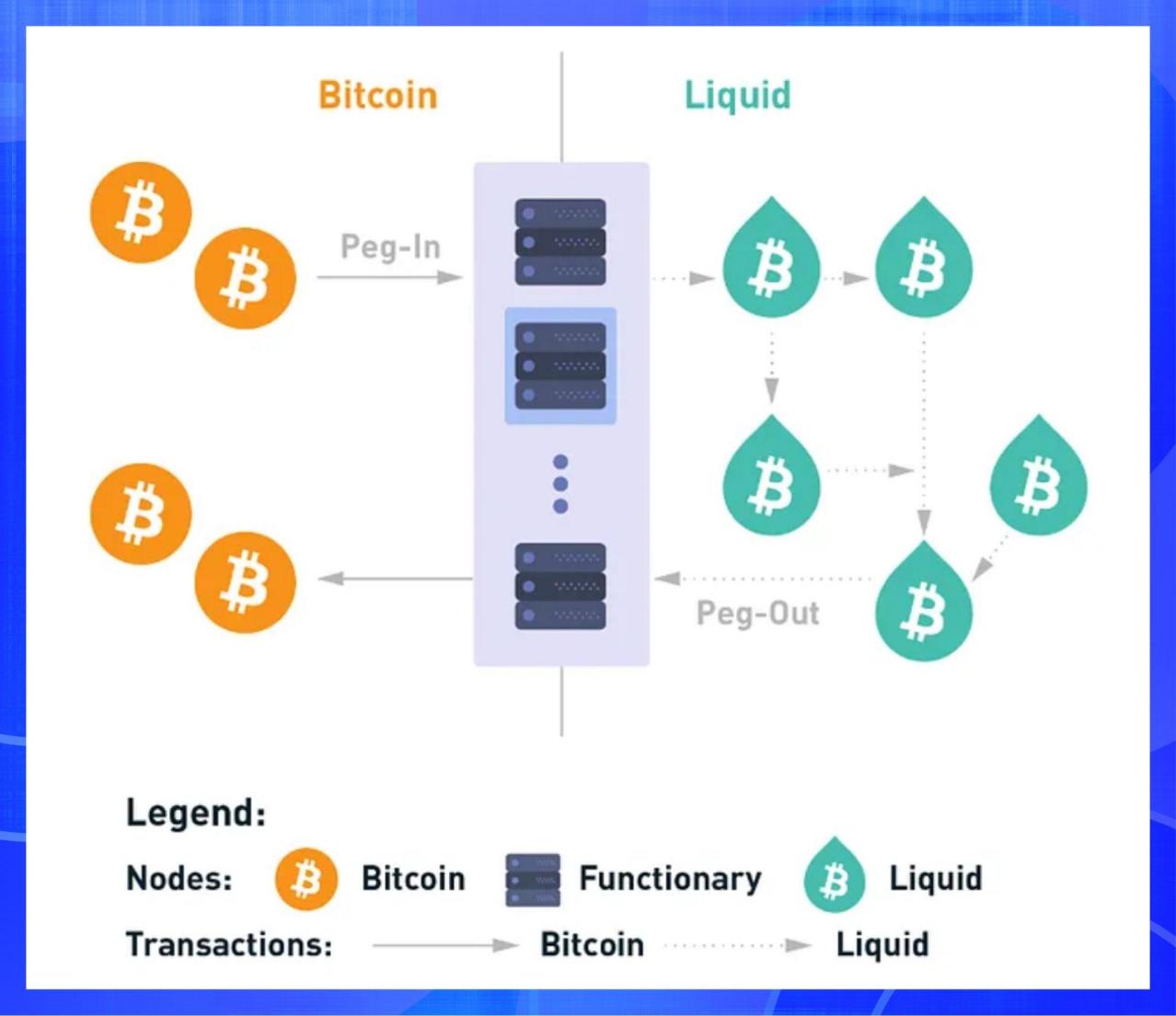 BitsLab 2024新兴公链安全全景洞察:从MOVE生态到比特币扩容赛道 image 3