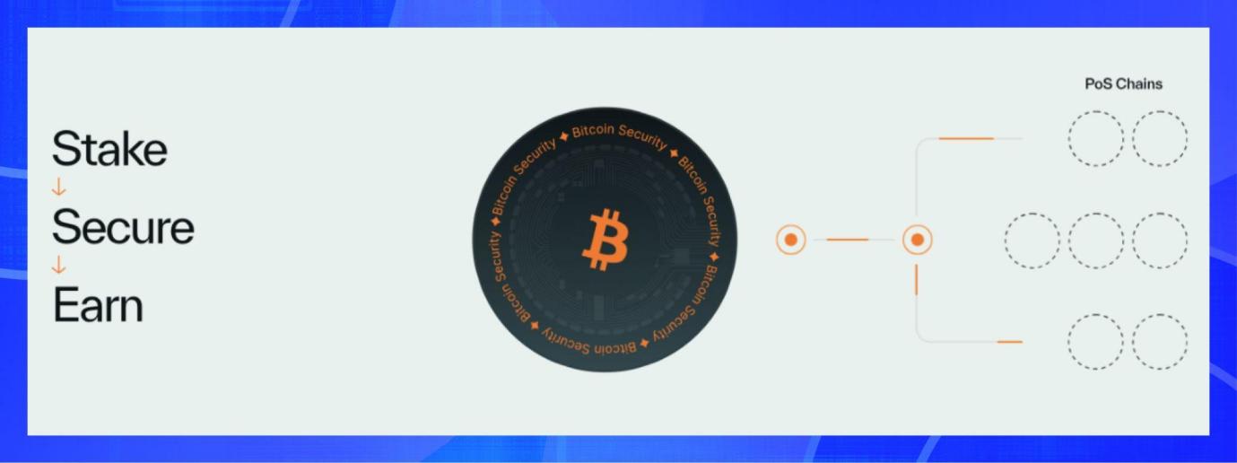 BitsLab 2024新兴公链安全全景洞察:从MOVE生态到比特币扩容赛道 image 5