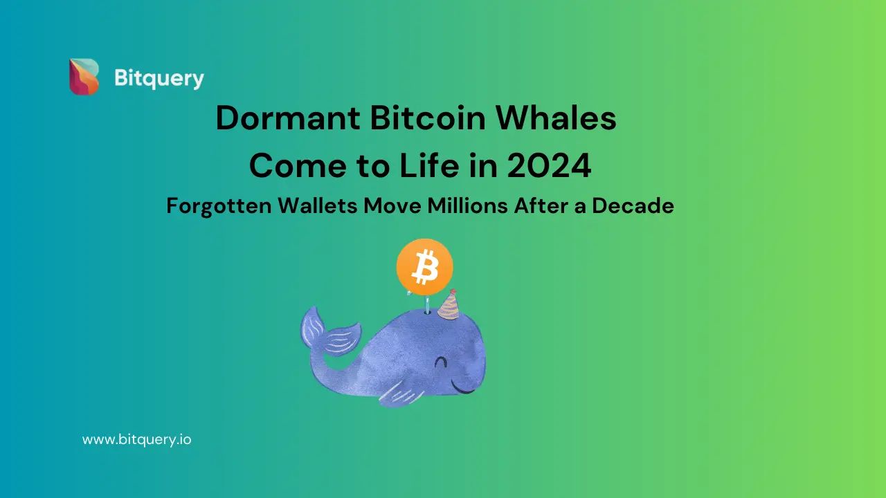 考古2024“重现江湖”的十大比特币巨鲸:最高转移超1000枚BTC,最低成本不足1美元 image 0