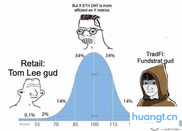 山寨币DAT投资全面解析与避坑指南